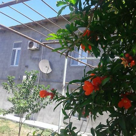 Apartment Near Baku Airport מראה חיצוני תמונה