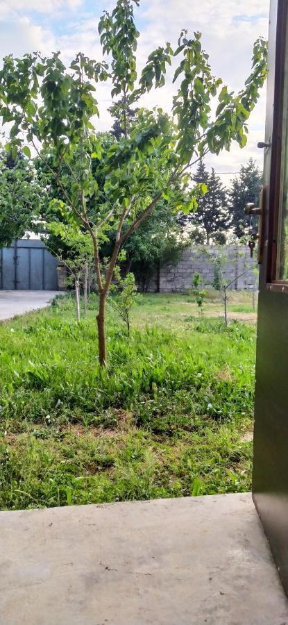 Apartment Near Baku Airport מראה חיצוני תמונה