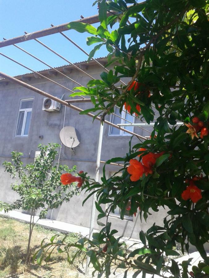 Apartment Near Baku Airport מראה חיצוני תמונה